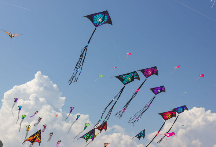 Which Kite is Right for You? Understanding Various Kite Styles Which Kite is Right for You? Understanding Various Kite Styles